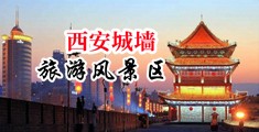啊啊啊啊用力插视频小骚逼中国陕西-西安城墙旅游风景区